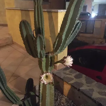 Apartamento Perego Castelsardo