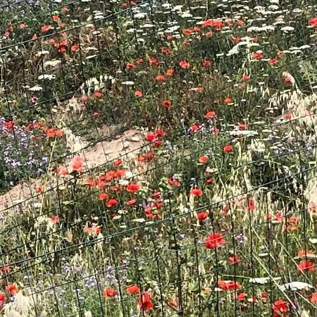 Perego Appartement *