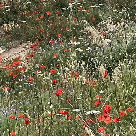 דירה Perego קאסטלסארדו