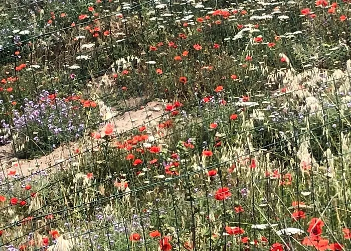 Perego Appartement *