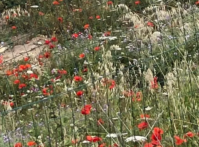 Appartement Perego Castelsardo